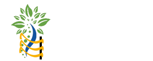 Kırşehir Ahi Evran Ortopedi