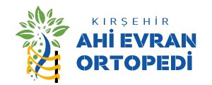Kırşehir Ahi Evran Ortopedi